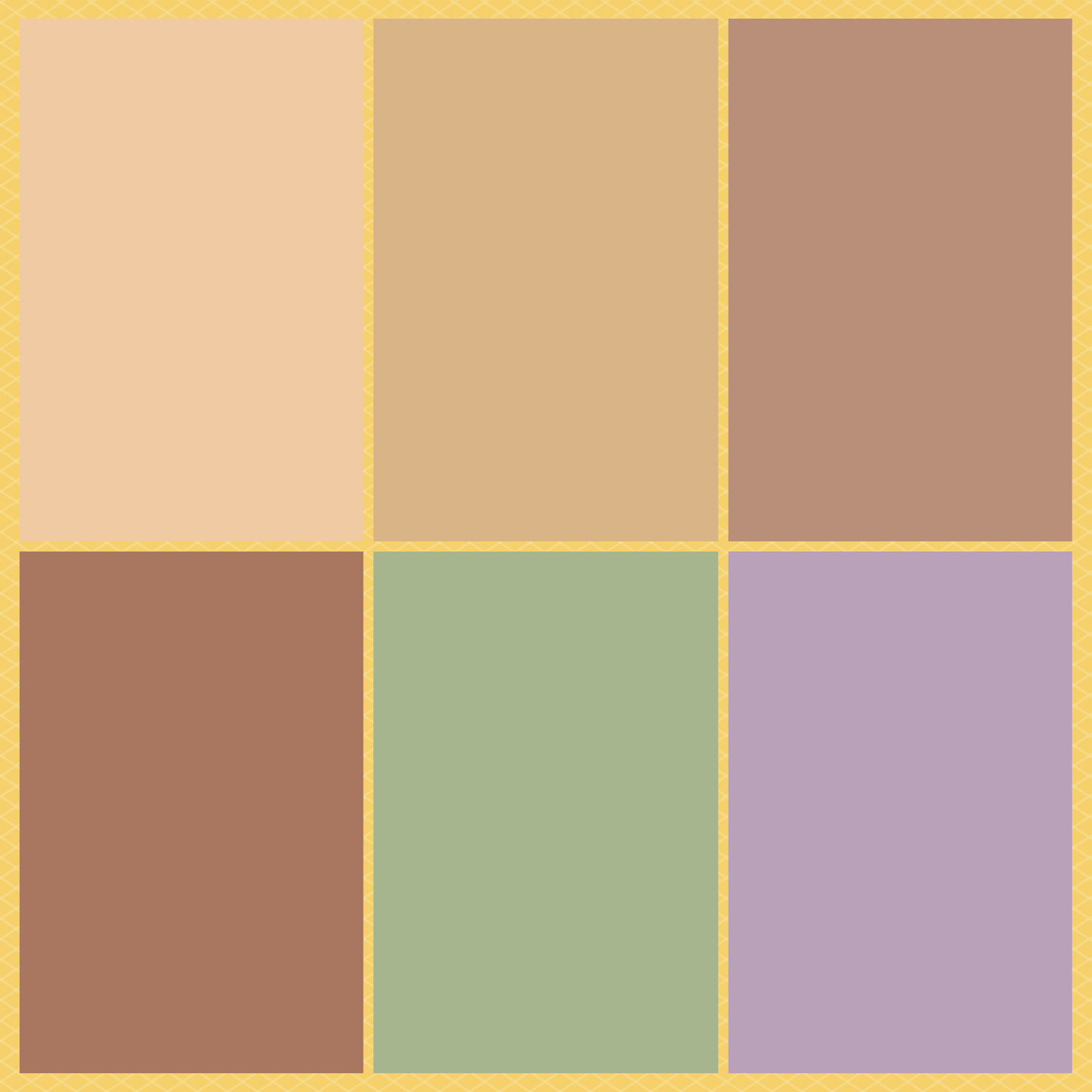 Concealer