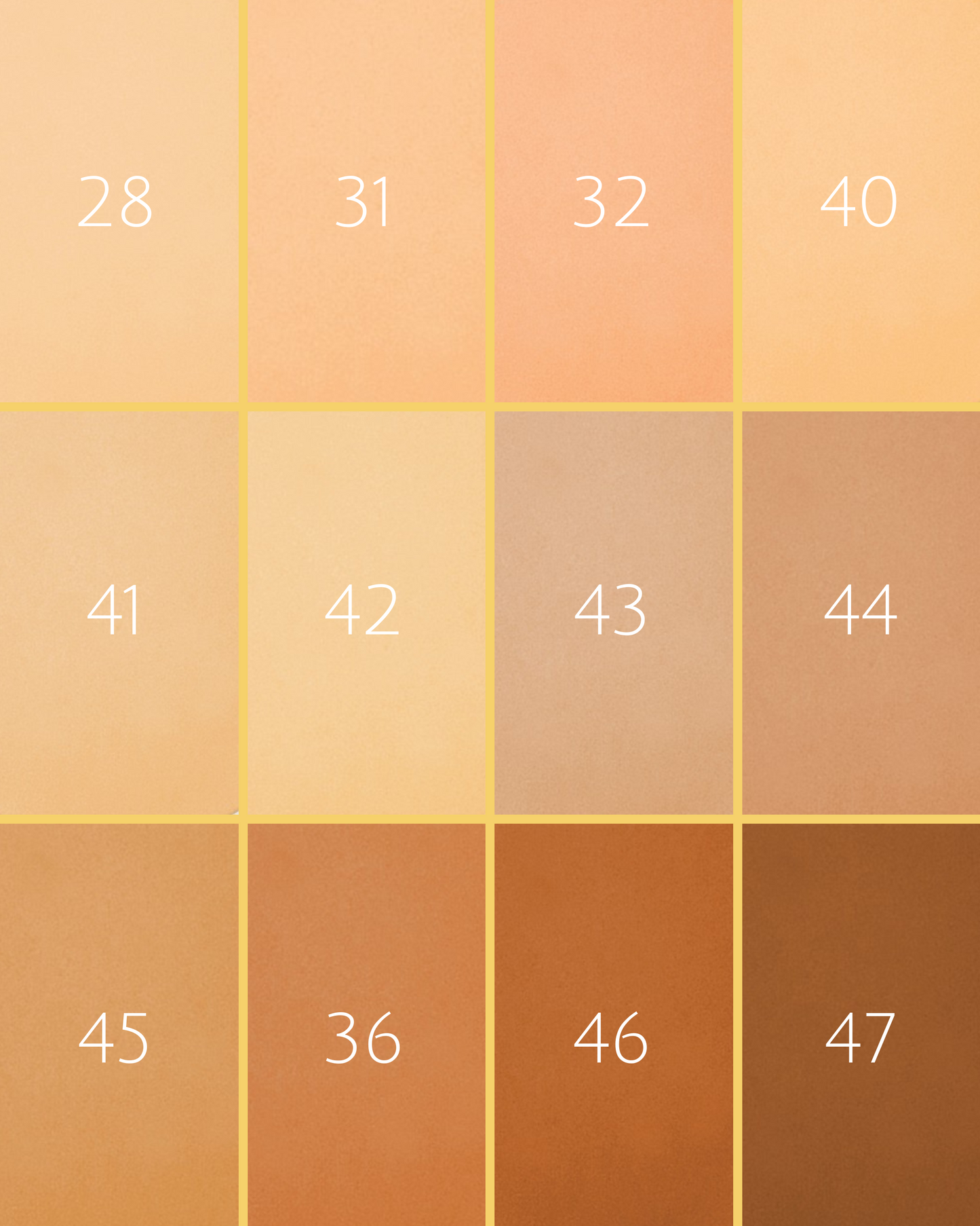 Mineral Foundation